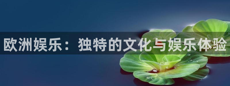 天辰娱乐.ccmpc正版