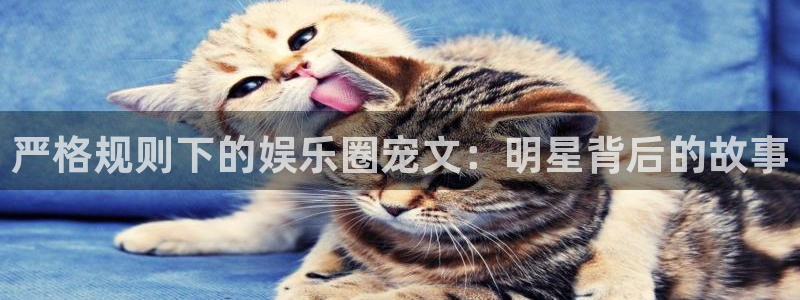 天辰娱乐(com.youad.authst)