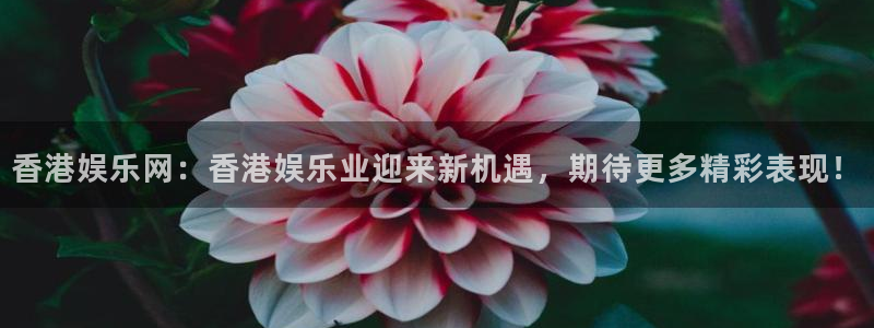 天辰娱乐官方网站