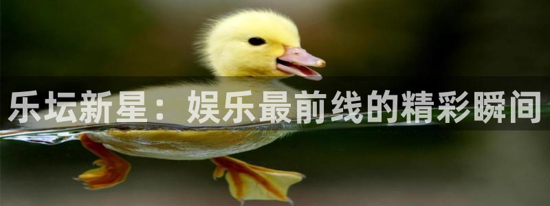 天辰娱乐app