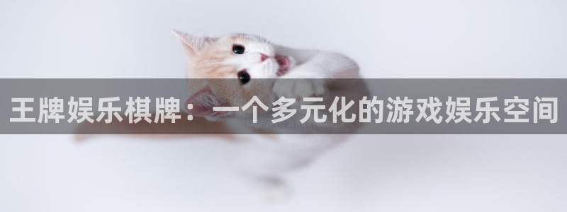 天辰娱乐手机客户端下载安装