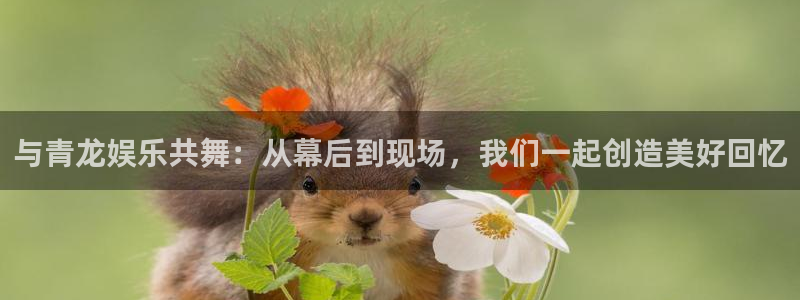 天辰娱乐pg电子游戏在线玩
