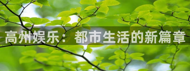 天辰娱乐游戏官网平台