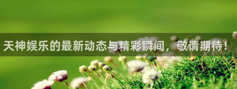 天辰娱乐app注册地址