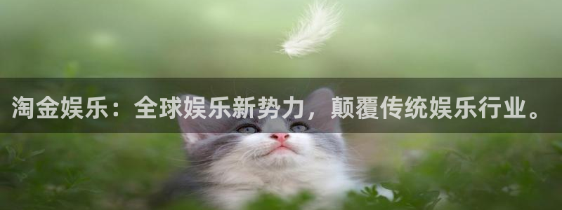 天辰娱乐,apk.