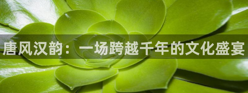 天辰娱乐ccmpc麻将胡了