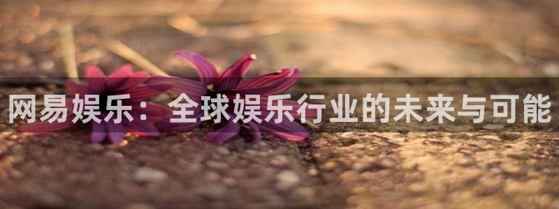天辰娱乐,apk