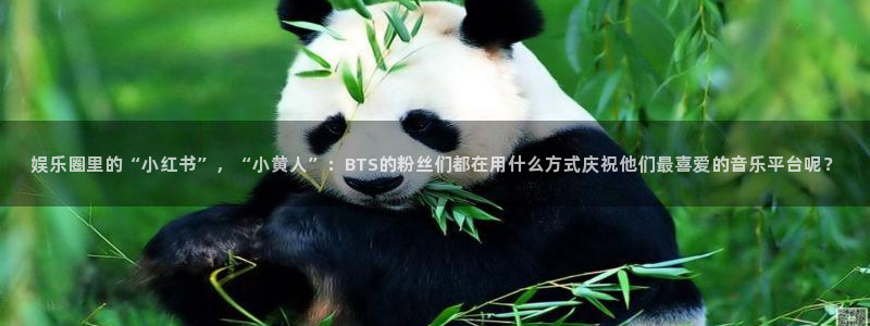 天辰娱乐注册链接