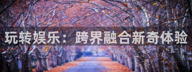 天辰娱乐官网下载：玩转娱乐：跨界融合新奇体验