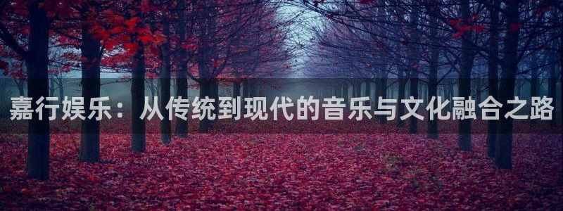 天辰娱乐账号注册：嘉行娱乐：从传统到现代的音乐与文化融合之路