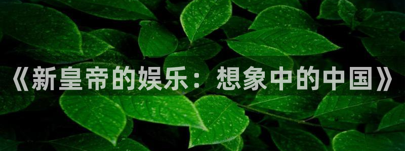 南宫天辰娱乐官网下载链接：《新皇帝的娱乐：想象中的中国》