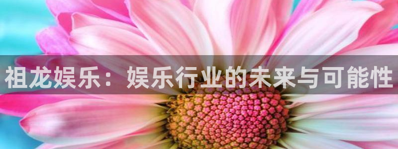 天辰娱乐是真的吗：祖龙娱乐：娱乐行业的未来与可能性