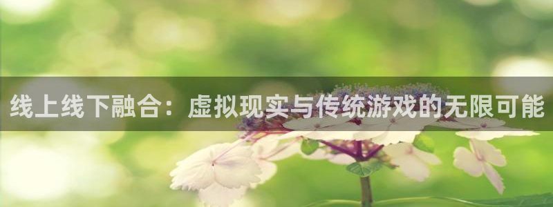 天辰娱乐ccm赏金女王：线上线下融合：虚拟现实与传统游戏的无限可能