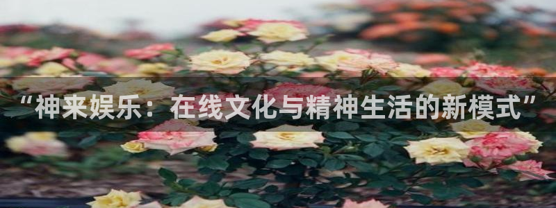 天辰娱乐平台注册：“神来娱乐：在线文化与精神生活的新模式”