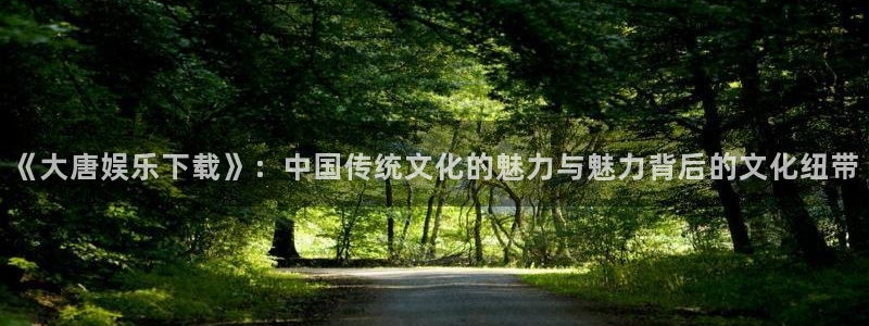 壹号大舞台官网：《大唐娱乐下载》：中国传统文化的魅力与魅力背后的文化纽带
