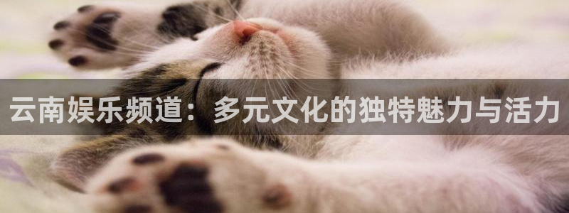 天辰娱乐是大平台吗：云南娱乐频道：多元文化的独特魅力与活力