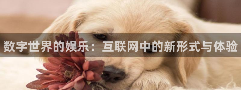 天辰娱乐app官网下载：数字世界的娱乐：互联网中的新形式与体验
