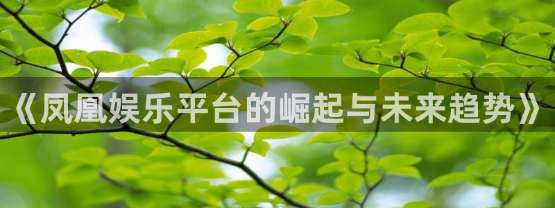 天辰娱乐平台：《凤凰娱乐平台的崛起与未来趋势》