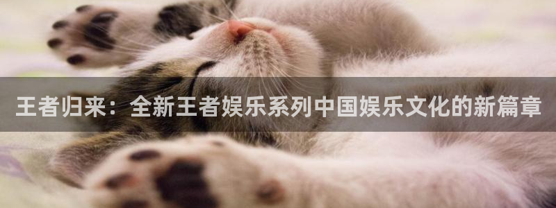 天辰娱乐pg：王者归来：全新王者娱乐系列中国娱乐文化的新篇章