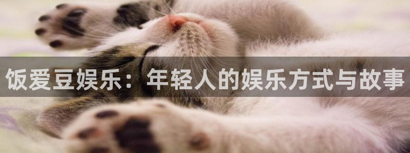 天辰娱乐平台官网登录入口：饭爱豆娱乐：年轻人的娱乐方式与故事