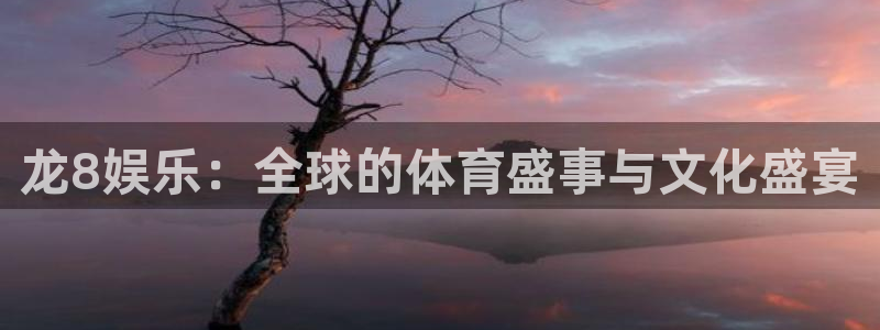 天辰娱乐注册链接：龙8娱乐：全球的体育盛事与文化盛宴