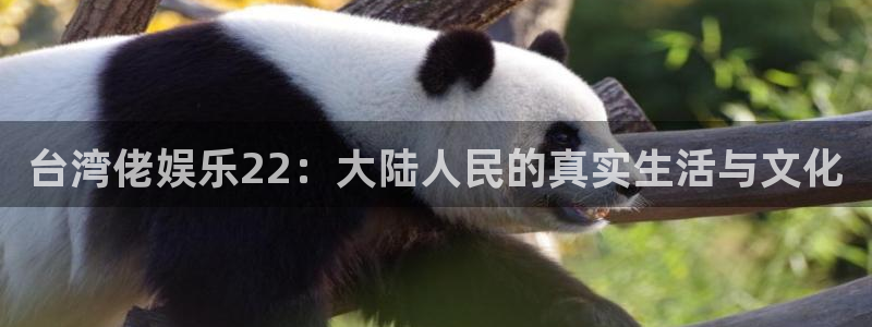 天辰娱乐app网页入口：台湾佬娱乐22：大陆人民的真实生活与文化