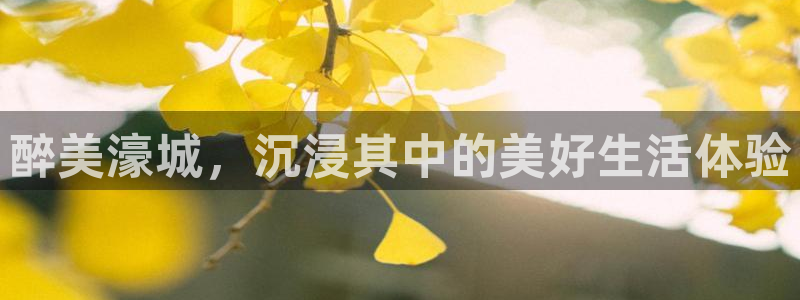 天辰娱乐娱乐：醉美濠城，沉浸其中的美好生活体验