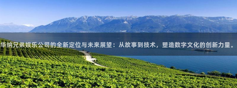 天辰娱乐网站：华纳兄弟娱乐公司的全新定位与未来展望：从故事到技术，塑造数字文化的创新力量。