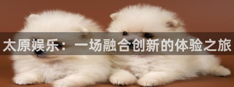 天辰娱乐有梦你就来：太原娱乐：一场融合创新的体验之旅
